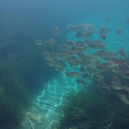 De Charme, T3, Situation Ideale, Pieds Dans L'eau, Cap Corse Lägenhet