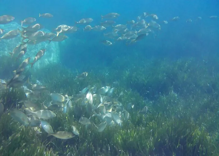 Lejlighed De Charme, T3, Situation Ideale, Pieds Dans L'eau, Cap Corse