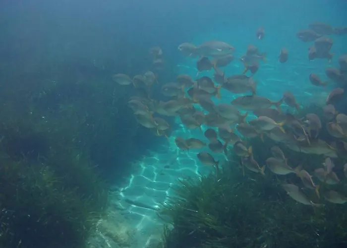De Charme, T3, Situation Idéale, Pieds Dans L'eau, Cap Corse Appartamento